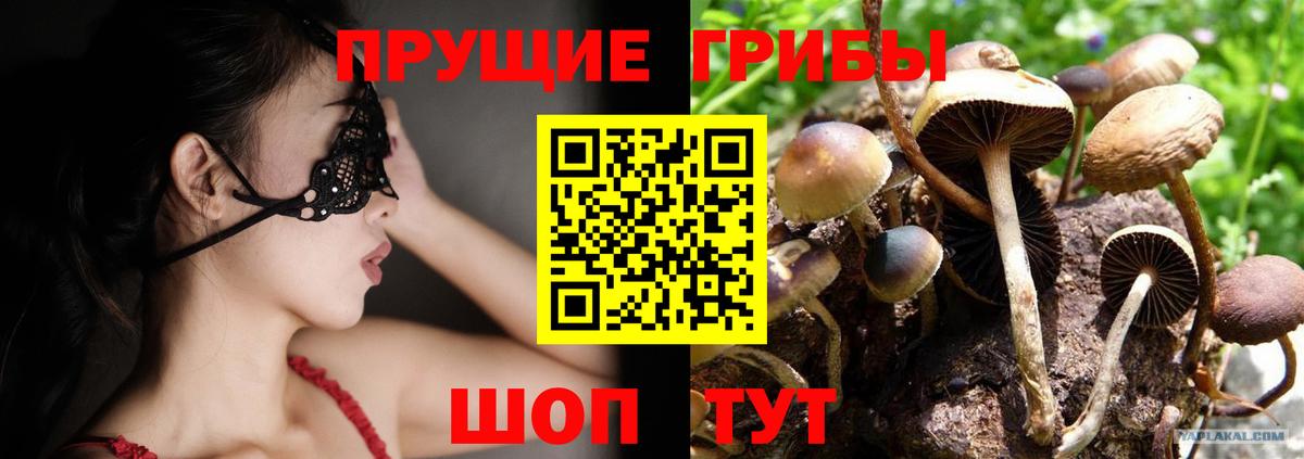 Псилоцибиновые грибы Cubensis Елабуга